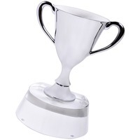 Стела "Кубок победителя" в подарочной упаковке; 13х10х17 см; стекло, металл; лазерная гравировка