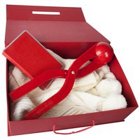 Изображение Коробка Case, подарочная, красная от бренда Сделано в России
