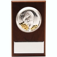 Настольная плакетка-миниатюра «Тигр на монетах» для персонализации