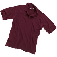 Рубашка поло "Boston" мужская, темно-фиолетовый, 2XL