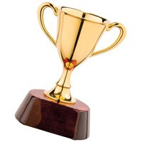 Награда «Кубок» малый на День гимнастики