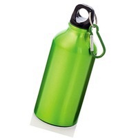 Бутылка с карабином, объем 350 мл, зеленое яблоко/черный