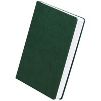 Ежедневник зеленый из кожи BASIS, датированный