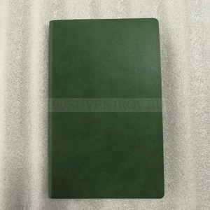 Фото Бизнес-блокнот "Funky", 130*210 мм, зеленый, серый форзац, мягкая обложка, в линейку