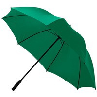 Зонт-трость "Zeke", зеленый