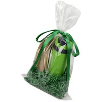 Набор подарочный зеленый LEVITA: термокружка, листовой чай в красивой упаковке