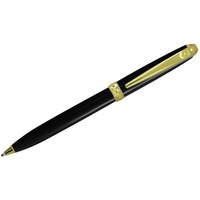 Ручка шариковая Eco, черный матовый/золотистый