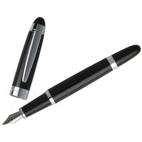 Ручка перьевая Icon