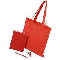 Набор подарочный красный из металла GUARDAR с флешкой: ежедневник, ручка, сумка