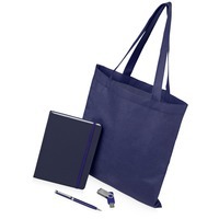 Подарочный набор Guardar с флешкой: ежедневник, ручка, сумка. 