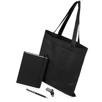 Набор подарочный черный из металла GUARDAR с флешкой: ежедневник, ручка, сумка