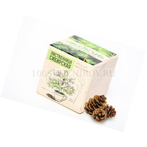 Фото Деревянный набор для выращивания "ЭКОКУБ", лиственница сибирская