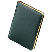 Недатированный ежедневник SIDNEY NEBRASKA А6+ с золотым обрезом под тиснение логотипа, 11 х 15,5 х 1,9 см, зеленый