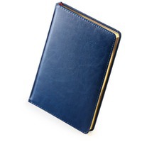 Ежедневник датированный А5 «Sidney Nebraska» с золотым обрезом, синий