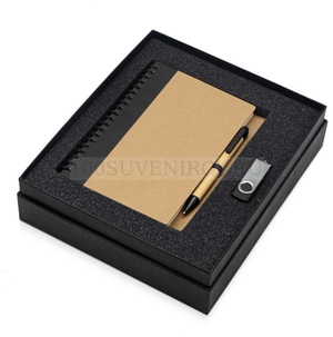 Фото Сувенирный набор ESSENTIALS с флешкой и блокнотом А5 с ручкой