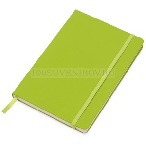 Фото Подарочный набор зеленый из пластика Vision Pro soft-touch с ручкой и блокнотом А5