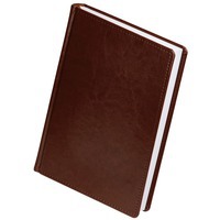 Изображение Ежедневник New Nebraska, датированный, коричневый, дорогой бренд Сделано в России