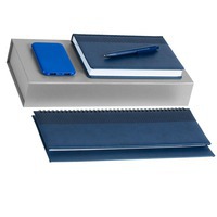 Набор синий из пластика BRAND ENERGY: недатированный ежедневник, датированный планинг, зарядник/5000 мAч, ручка