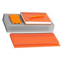 Набор оранжевый из кожи BRAND ENERGY: недатированный ежедневник, датированный планинг, зарядник/5000 мAч, ручка