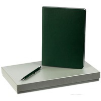 Набор зеленый из металла BIG CITY LIGHTS: недатированный ежедневник, ручка