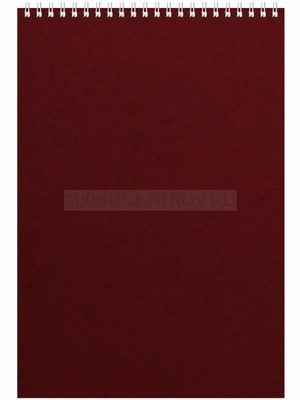 Фото Вертикальный блокнот Office-А4 с мягкой обложкой на пружине/спирали, тиснение, тампопечать, 19,8 х 28,5 х 0,8 см «Альт» (бордовый)