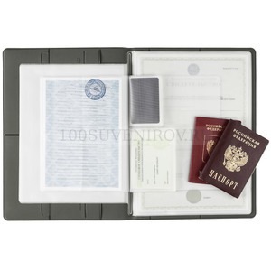 Фото Папка-органайзер DEVON MAXI А4 для хранения семейных документов: паспортов, свидетельств, удостоверений, 16 файлов.  «Сделано в России» (серая)