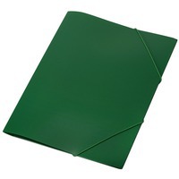 Папка А4 на резинке, 31,8 х 24,5 х 0,3 см, зеленый