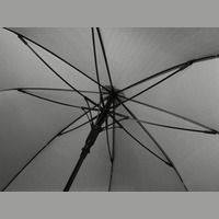 Зонт серебро