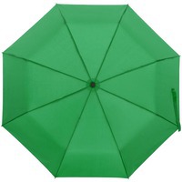 Фото Зонт складной Monsoon, зеленый