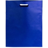 Сумка BLASTER, синий, 43х34 см, 100% полиэстер, 80 г/м2