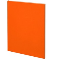 Фотка Ежедневник Flat, недатированный, оранжевый