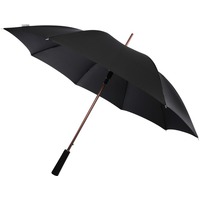 Изображение Фирменный большой зонт-трость PASADENA, d112 х 85,5 см
