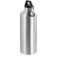 Алюминиевая бутылка HIP M с карабином под круговую печать логотипа, 770 мл, d7,3 х 25 см
