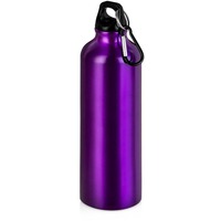 Алюминиевая бутылка HIP M с карабином под круговую печать логотипа, 770 мл, d7,3 х 25 см, пурпурный