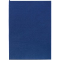 Картинка Ежедневник Flat Light, недатированный, синий