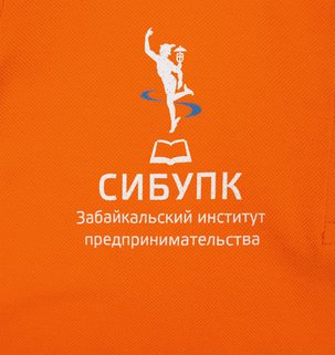 Фотография полноцвет по текстилю: Рубашка поло женская Virma lady, оранжевая S